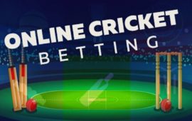 How to choose the best possible type of website associated with cricket betting?