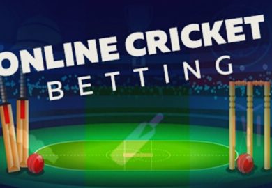 How to choose the best possible type of website associated with cricket betting?